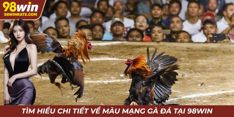 Tìm hiểu chi tiết về màu mạng gà đá tại 98win