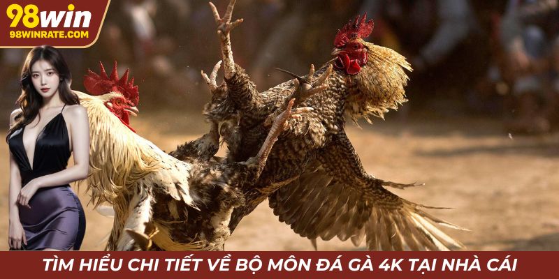 Tìm hiểu chi tiết về bộ môn đá gà 4k tại nhà cái