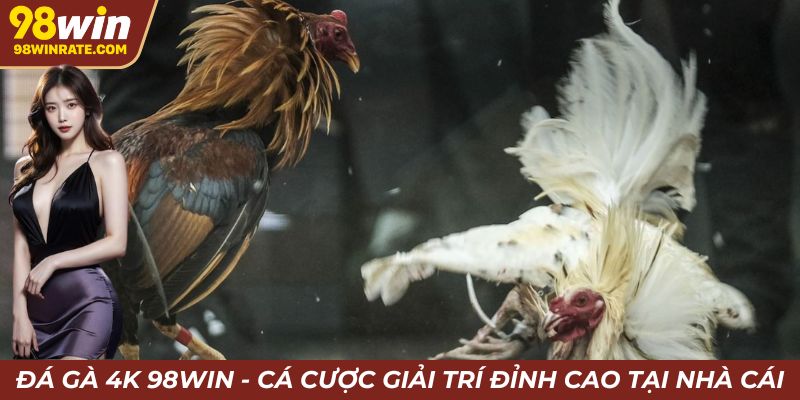 đá gà 4k