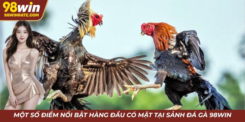 Một số điểm nổi bật hàng đầu có mặt tại sảnh đá gà 98win