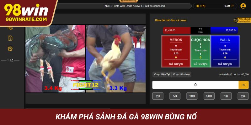 Khám phá sảnh đá gà 98Win bùng nổ